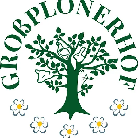 Grossplonerhof 아파트